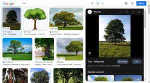 Screenshot of Google images - Darkmode preview in lightmode page