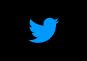 Screenshot of Twitter Bird is back