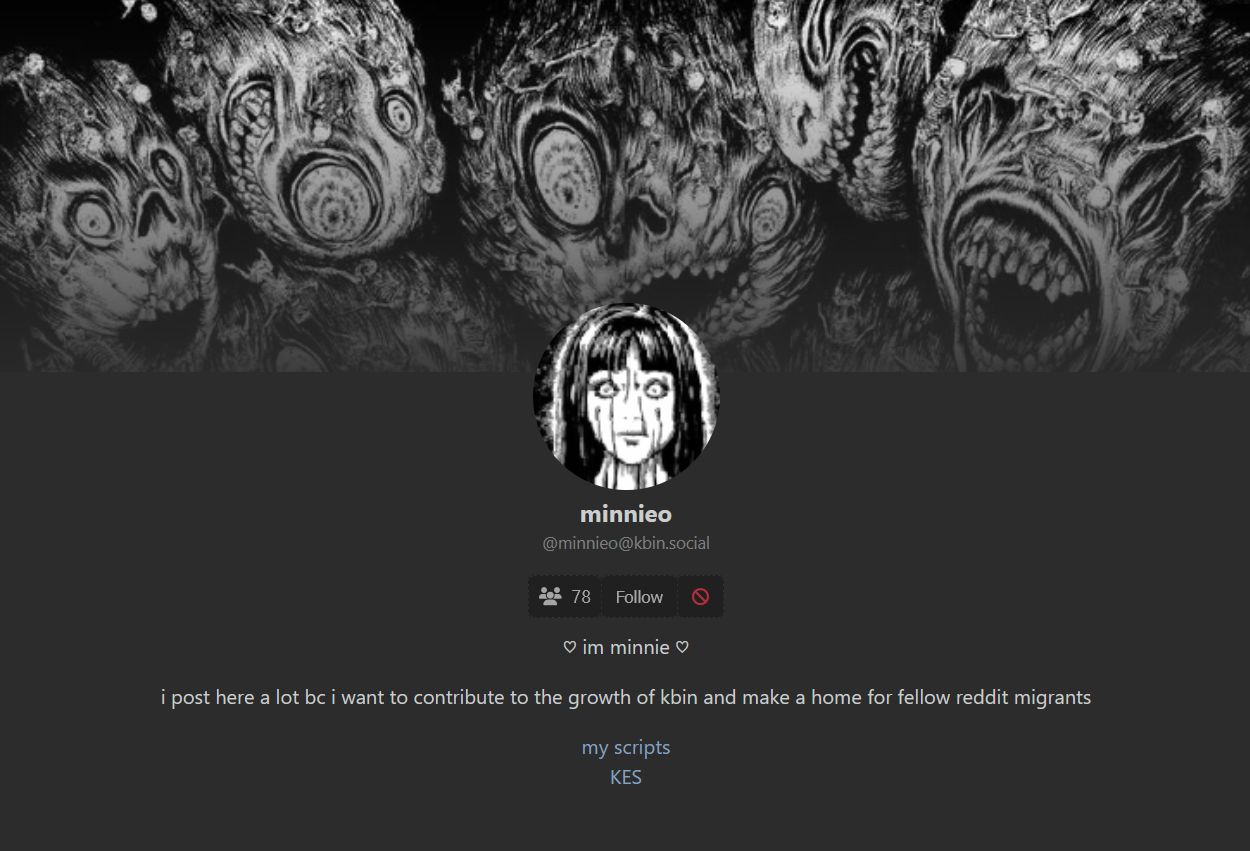Screenshot of pretty kbin profiles