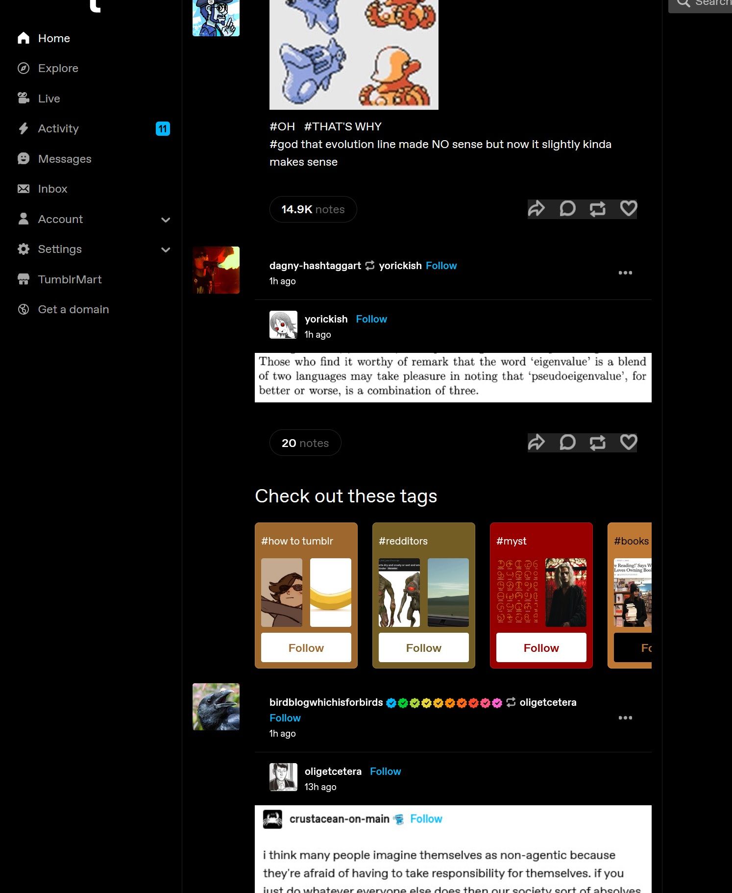 Screenshot of Tumblr Dark Dashboard