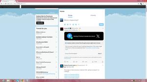 Screenshot of Twitter Layout 2013 (Broken and Moved)