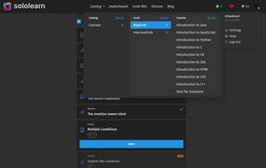 Screenshot of sololearn.com - Dark Mode