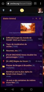 Screenshot of Fou du Vill'Onche - Mobile