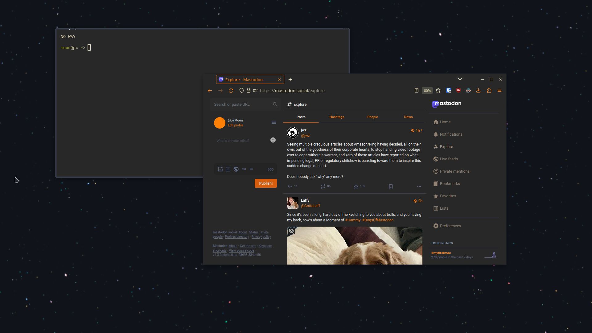 Screenshot of mastodon minimalist gruvbox orange