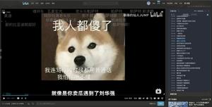 Screenshot of bilibili 宽屏