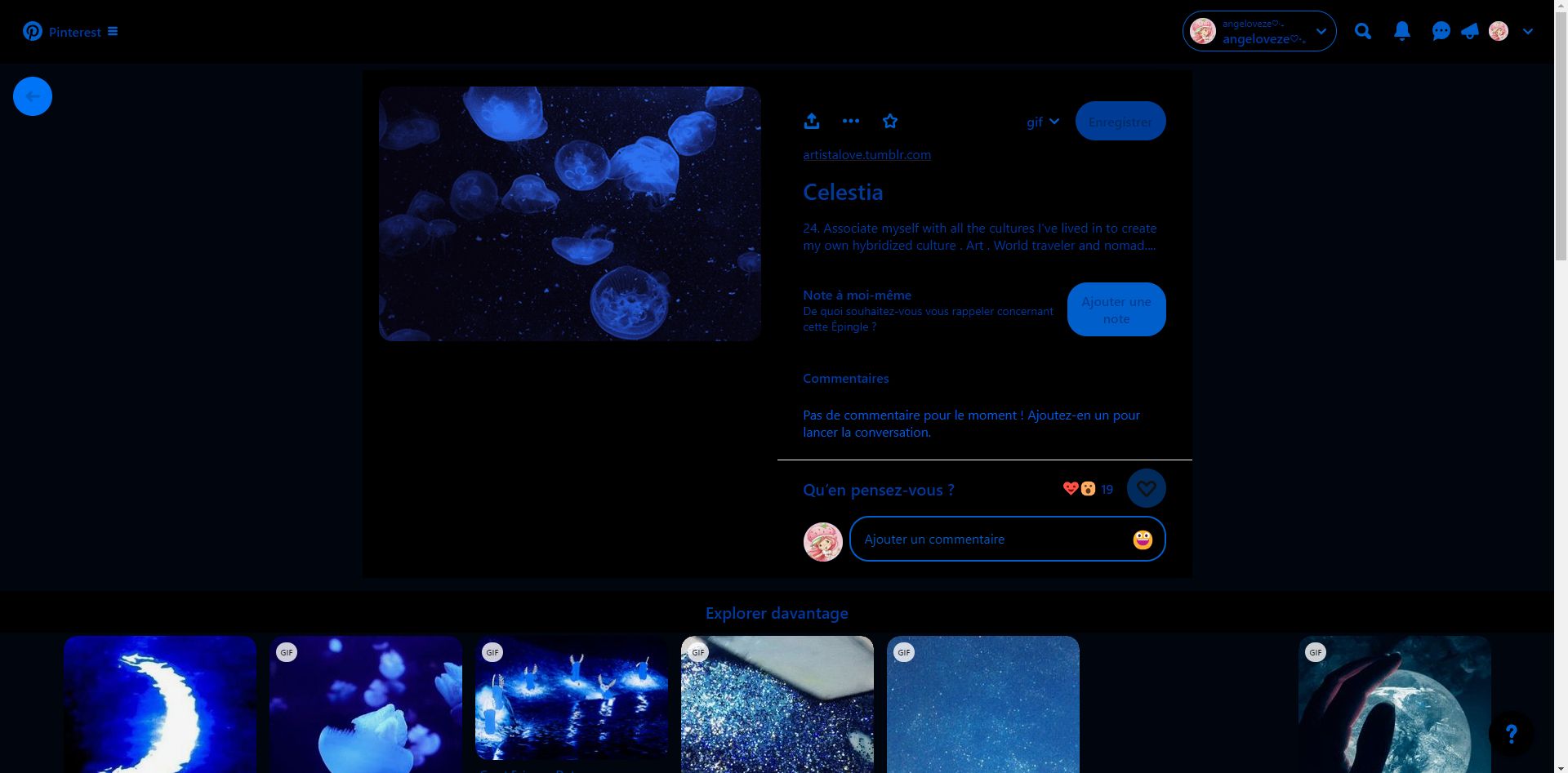 Screenshot of sea blue and dark pinterest mode