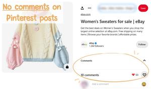 Screenshot of REMOVE Comments on Pinterest