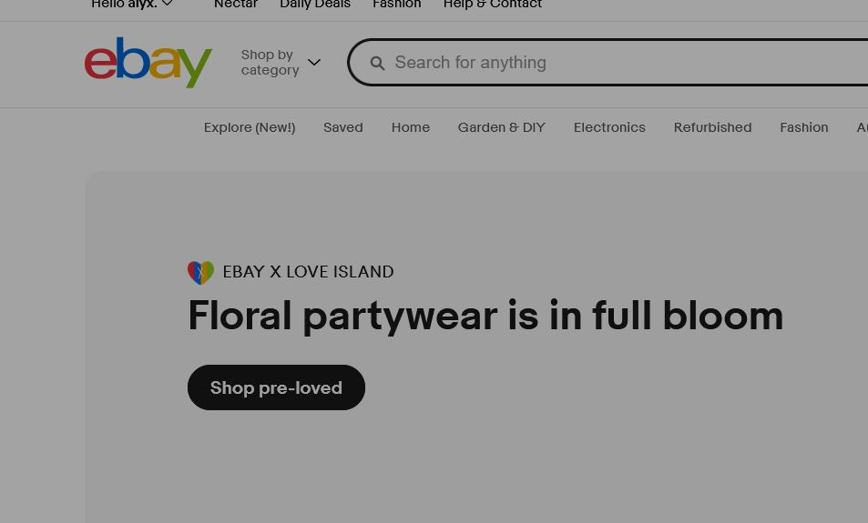 Screenshot of ebay