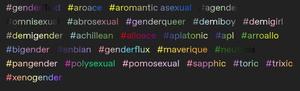 Screenshot of Tumblr tags recollourer.