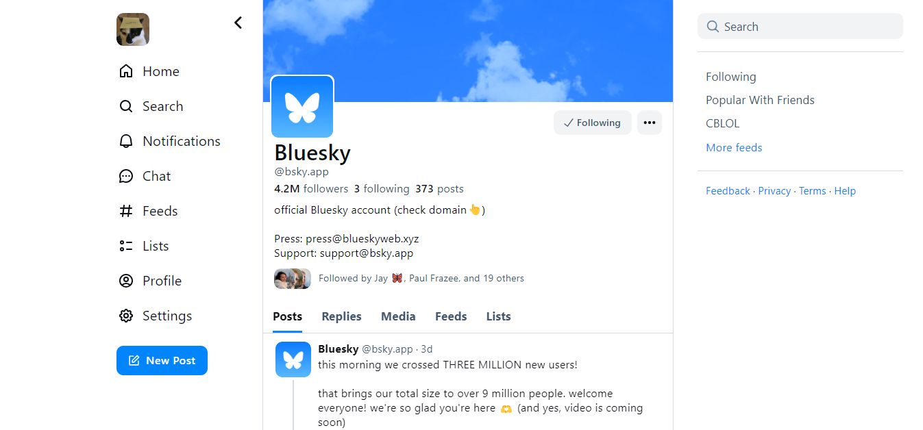 Screenshot of Bsky UI