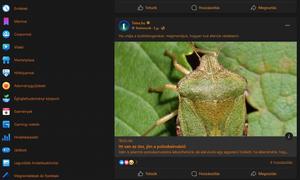 Screenshot of Facebook grey - orange