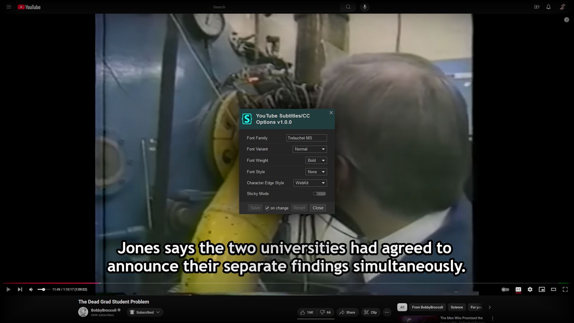 Screenshot of YouTube Subtitles/CC Options