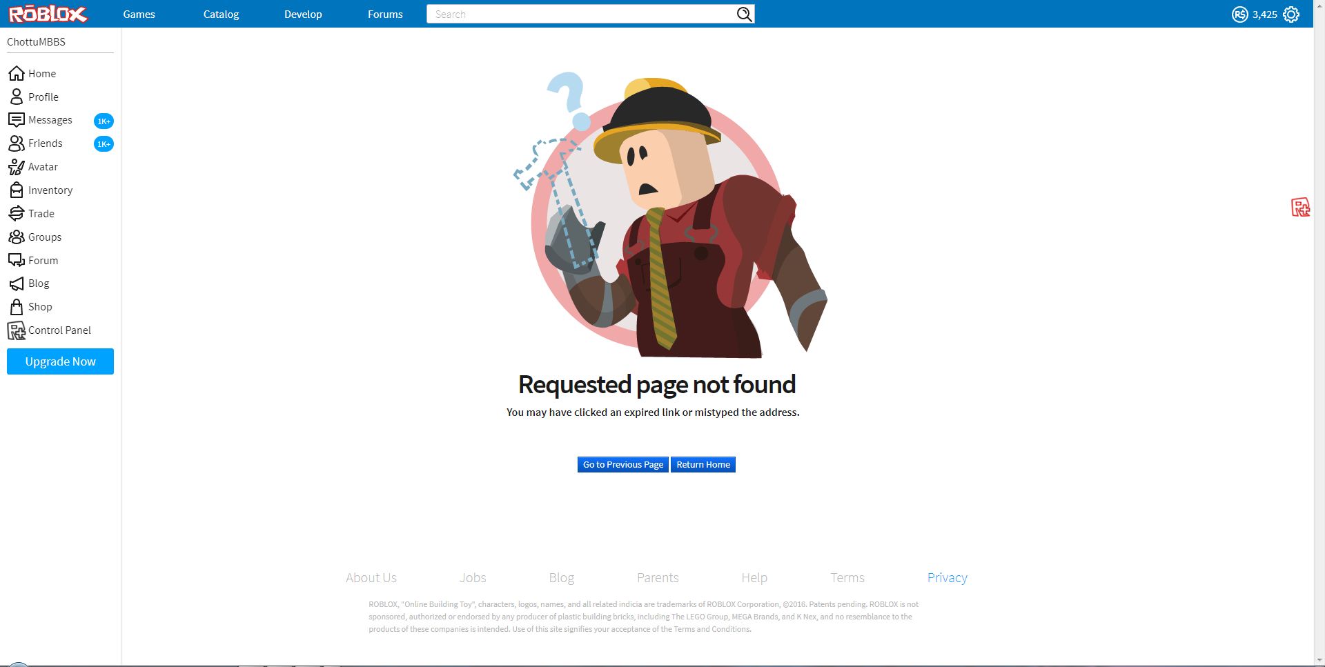 Screenshot of Old Error Page