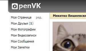 Screenshot of OpenVK Old Header