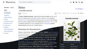 Screenshot of Wikipedia light and modern