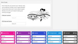 Screenshot of WaniKani Level Progress Remover