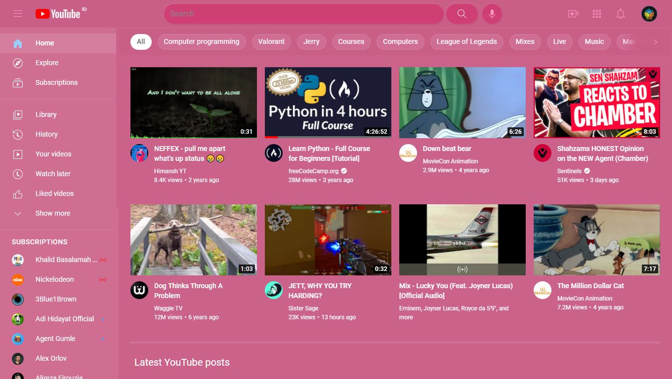 Screenshot of Pink Youtube Theme
