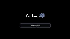 Screenshot of catbox at night