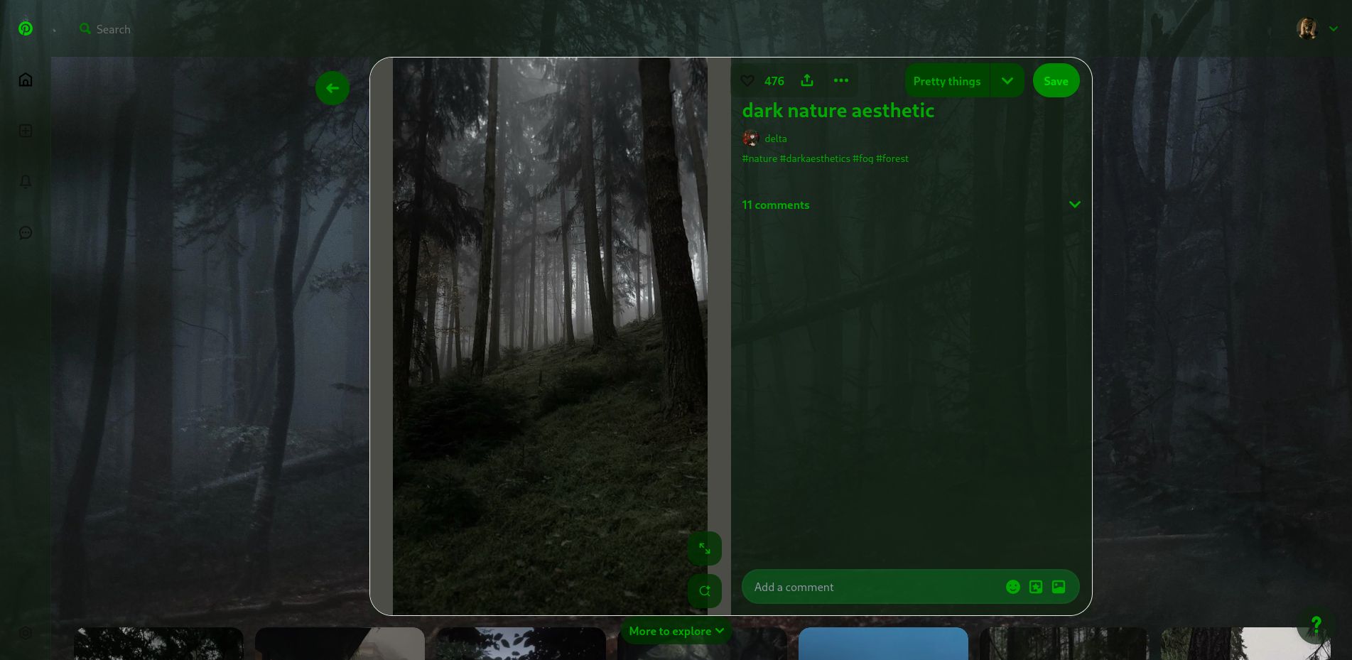 Screenshot of Dark forest pinterest