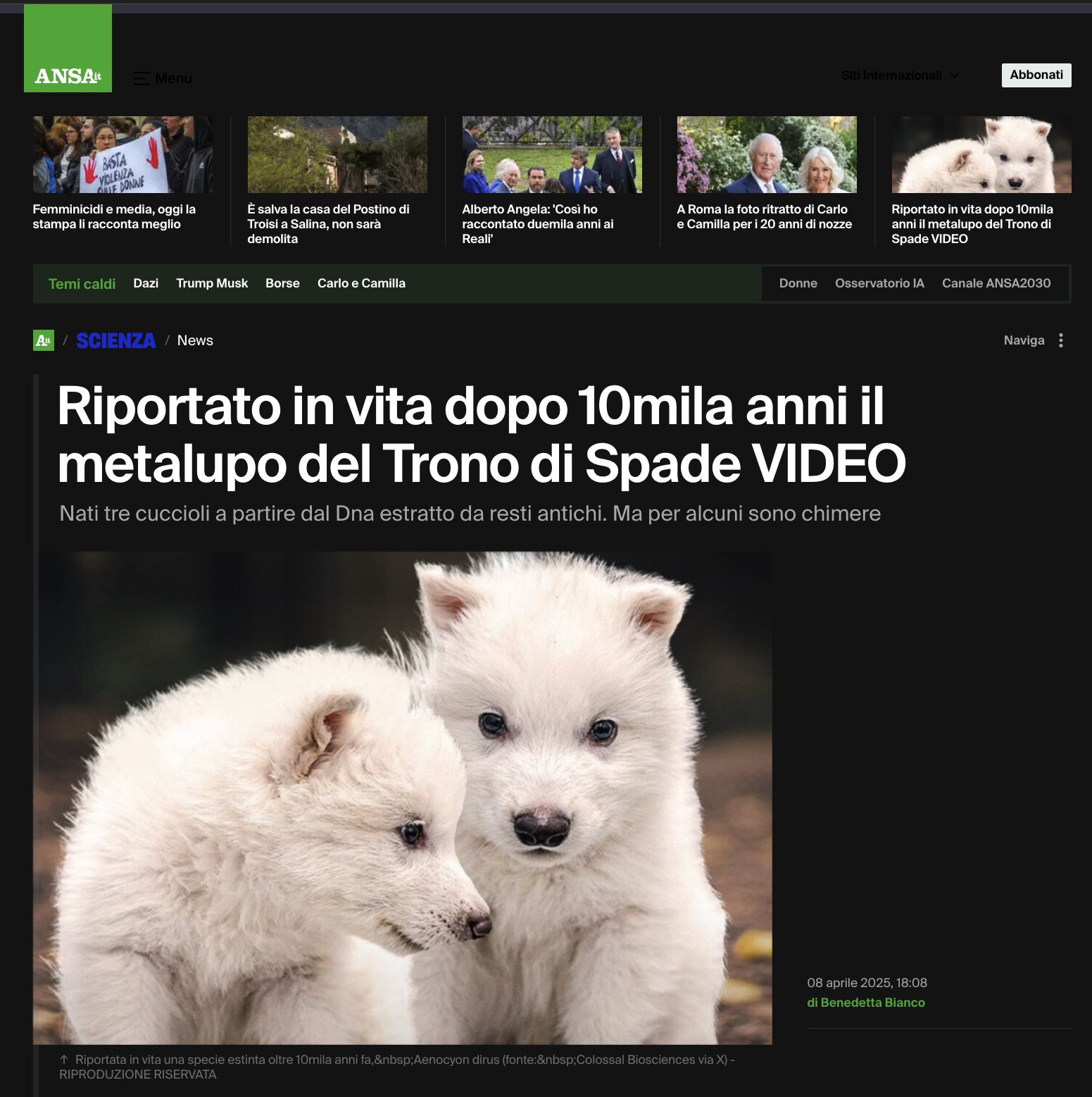 Screenshot of Ansa.it | Dark Theme