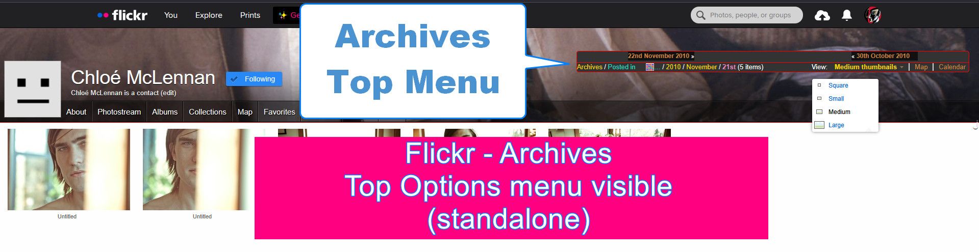 Screenshot of Flickr Archives Options visible (standalone) v.1