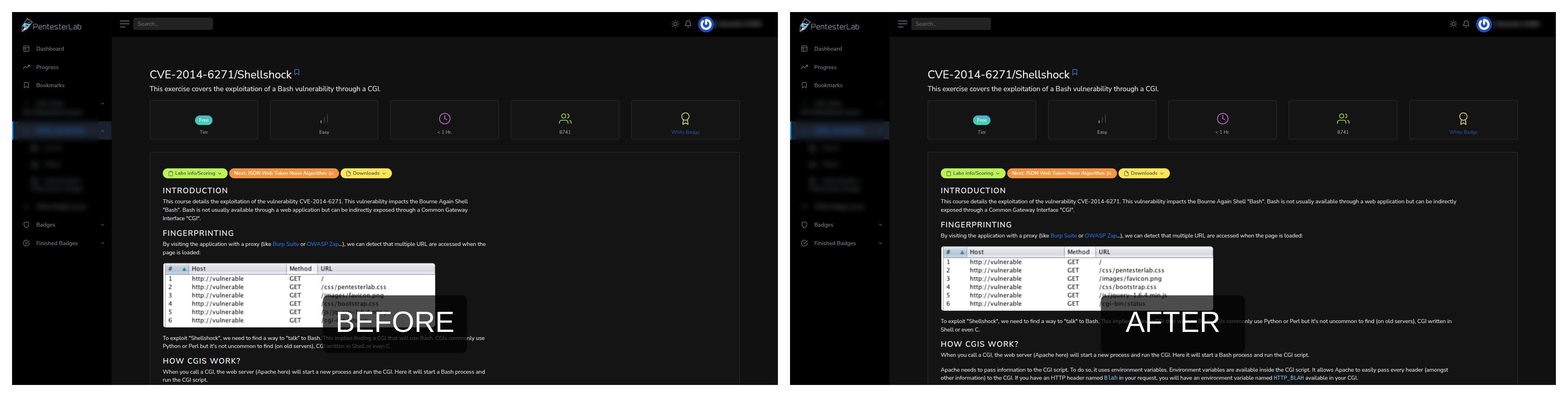 Screenshot of PentesterLab exercises 100% width