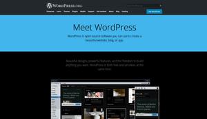 Screenshot of Wordpress - Dark