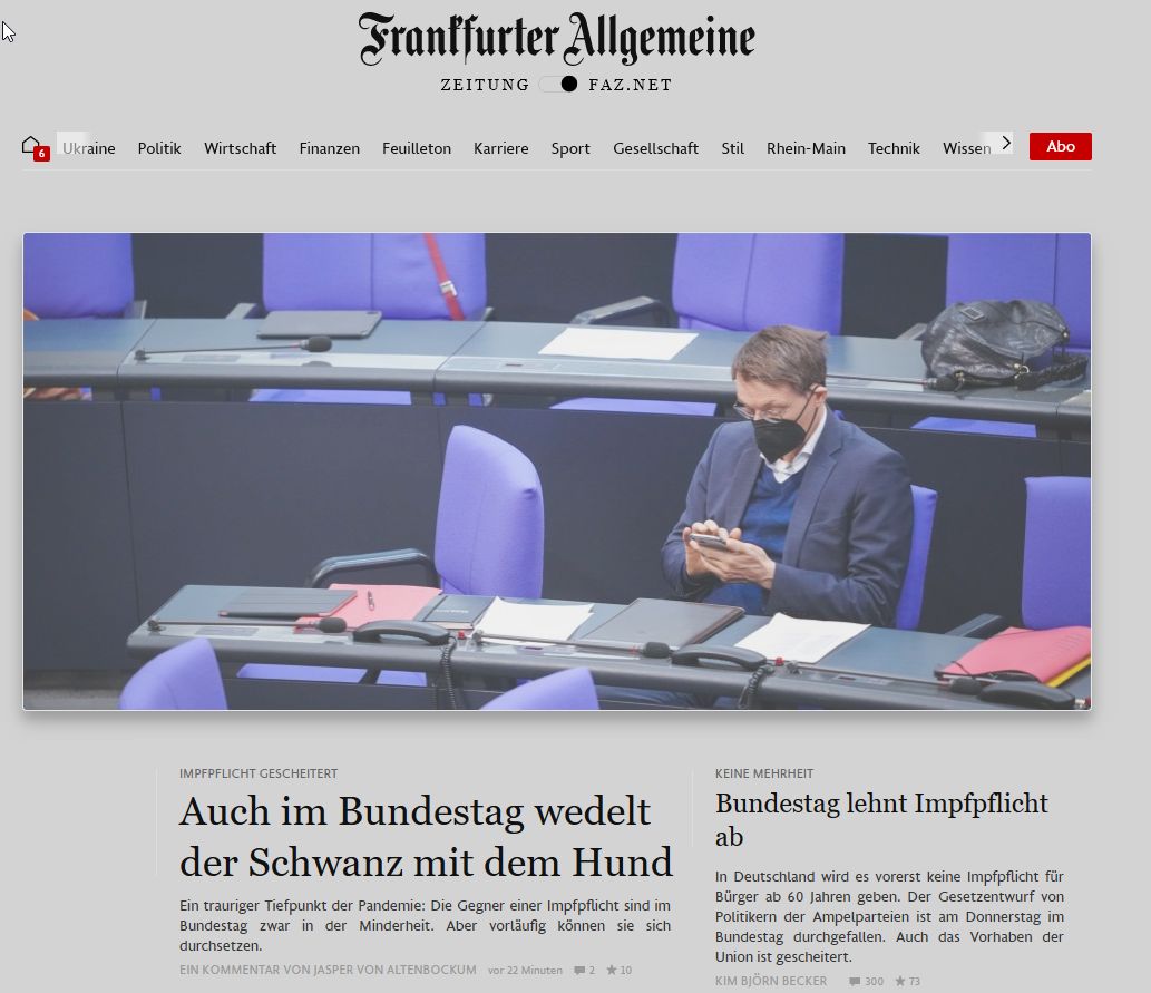 Screenshot of FAZ.net Eyesaving (revived) - Steingrau