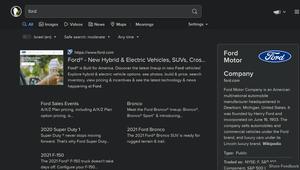 Screenshot of DuckDuckGo with SearchPreview add-on/extantion