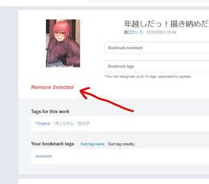 Screenshot of Pixiv Bookmark Removal Visibility
