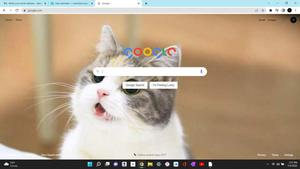 Screenshot of The cute cat for google