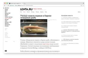 Screenshot of cleanwhite | lenta.ru