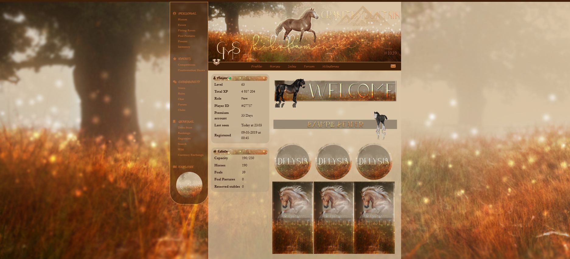 Screenshot of Whit/Hel Auction theme