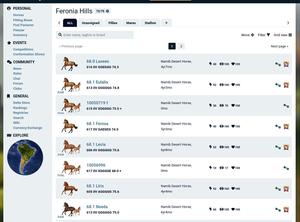 Screenshot of HR Horses Overview Fix-Attempt