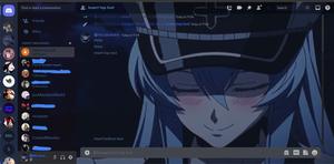 Screenshot of Esdeath Theme (Discord) (Akame Ga Kill)