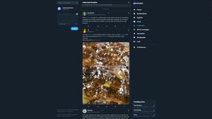 Screenshot of Twitter for Mastodon [Modified/Fixed]