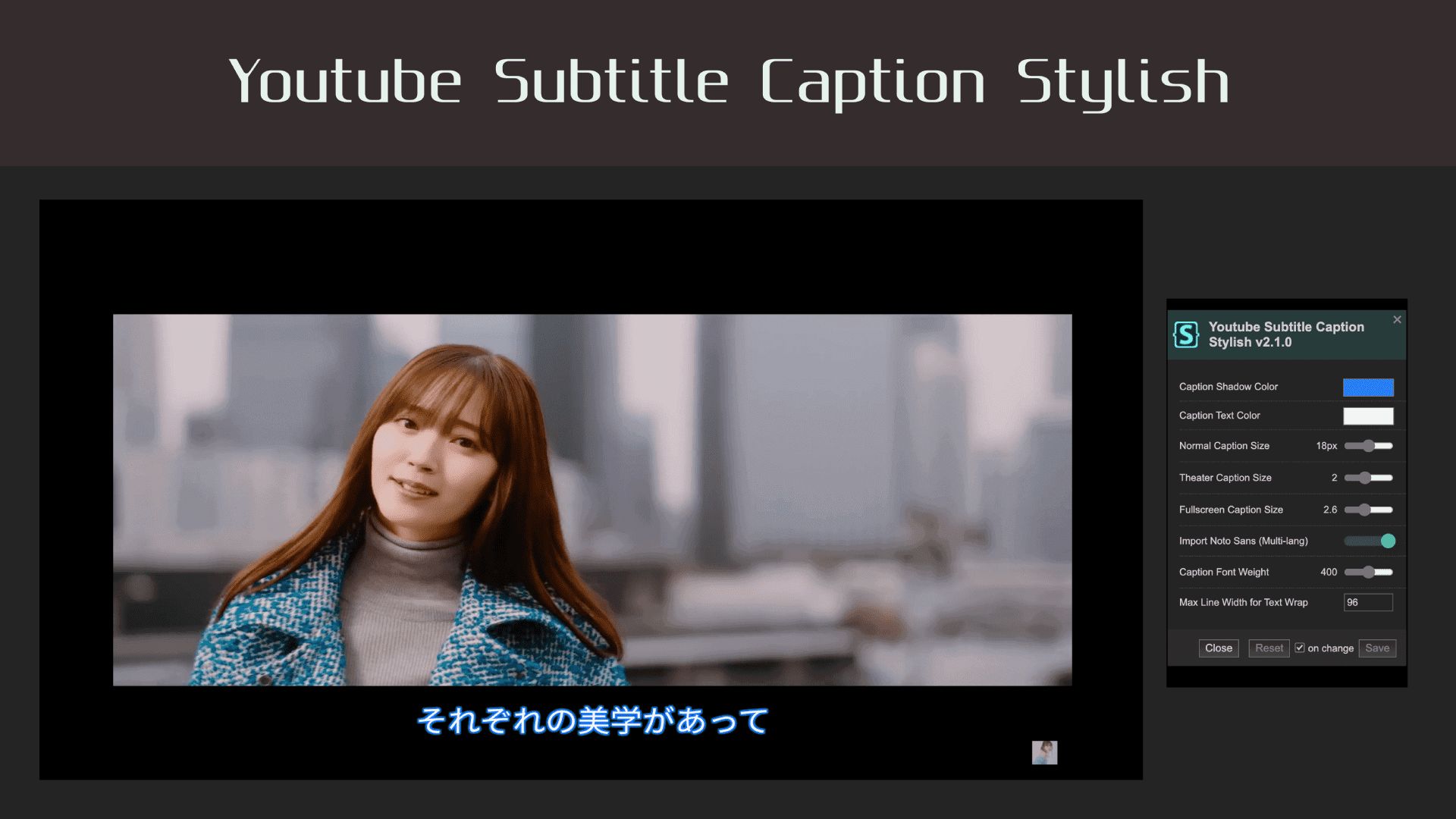Screenshot of Youtube Subtitle Caption Stylish