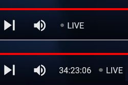 Screenshot of YouTube Live Stream Time