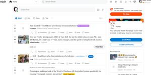 Screenshot of Bright and Modern Reddit